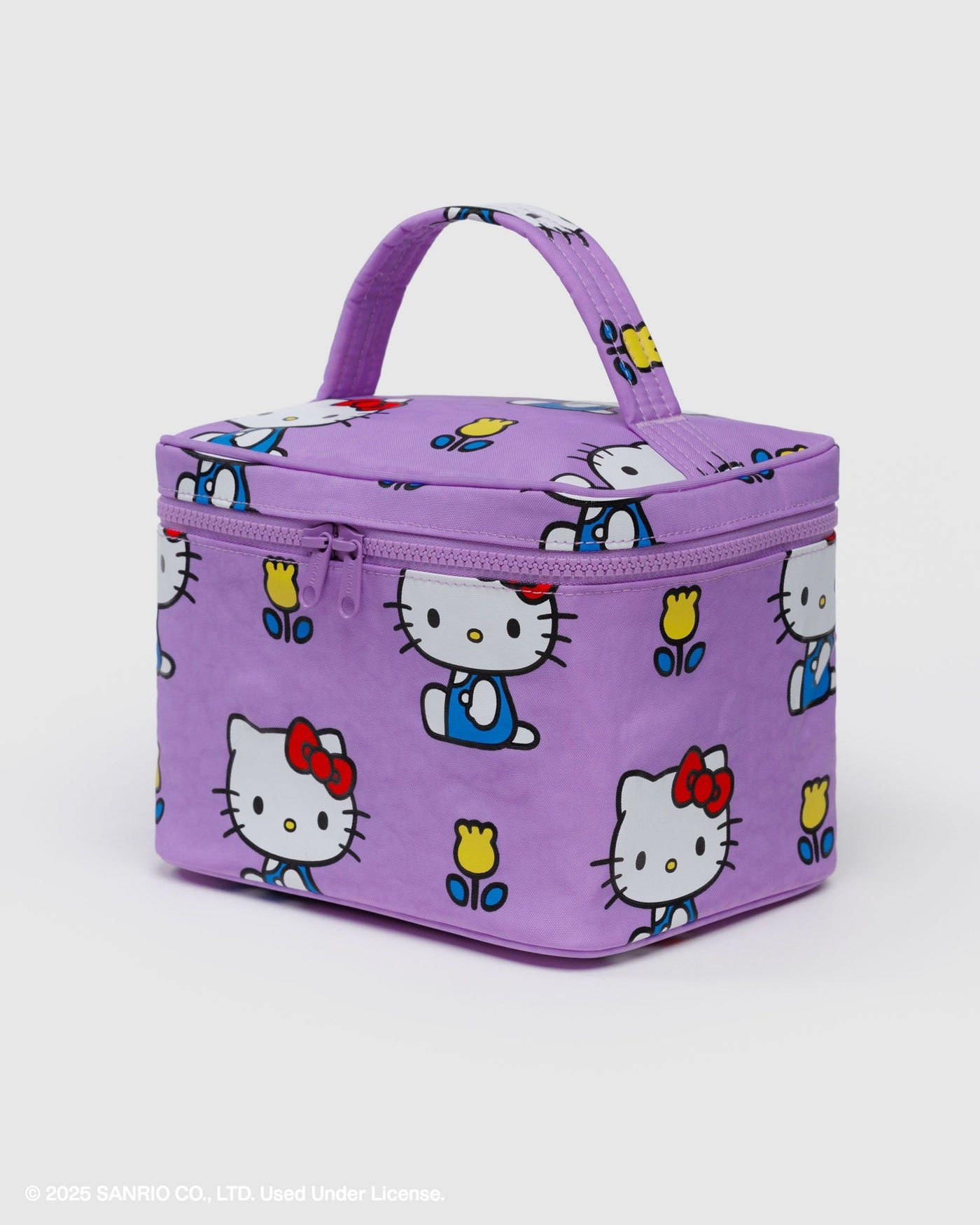 Large Cosmetic Case
